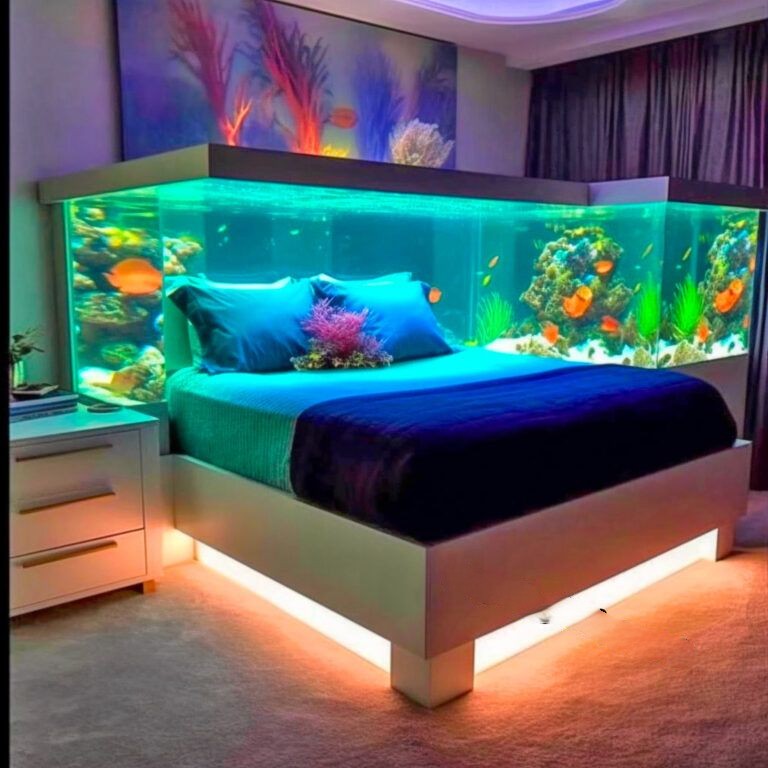 Traditional Aquarium Beds